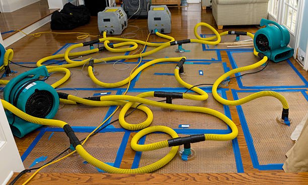 Professional Water Damage Restoration technician working in Coopersville, MI