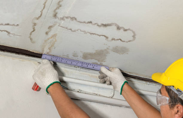 Affordable Water Damage Repair solutions in Coopersville, MI